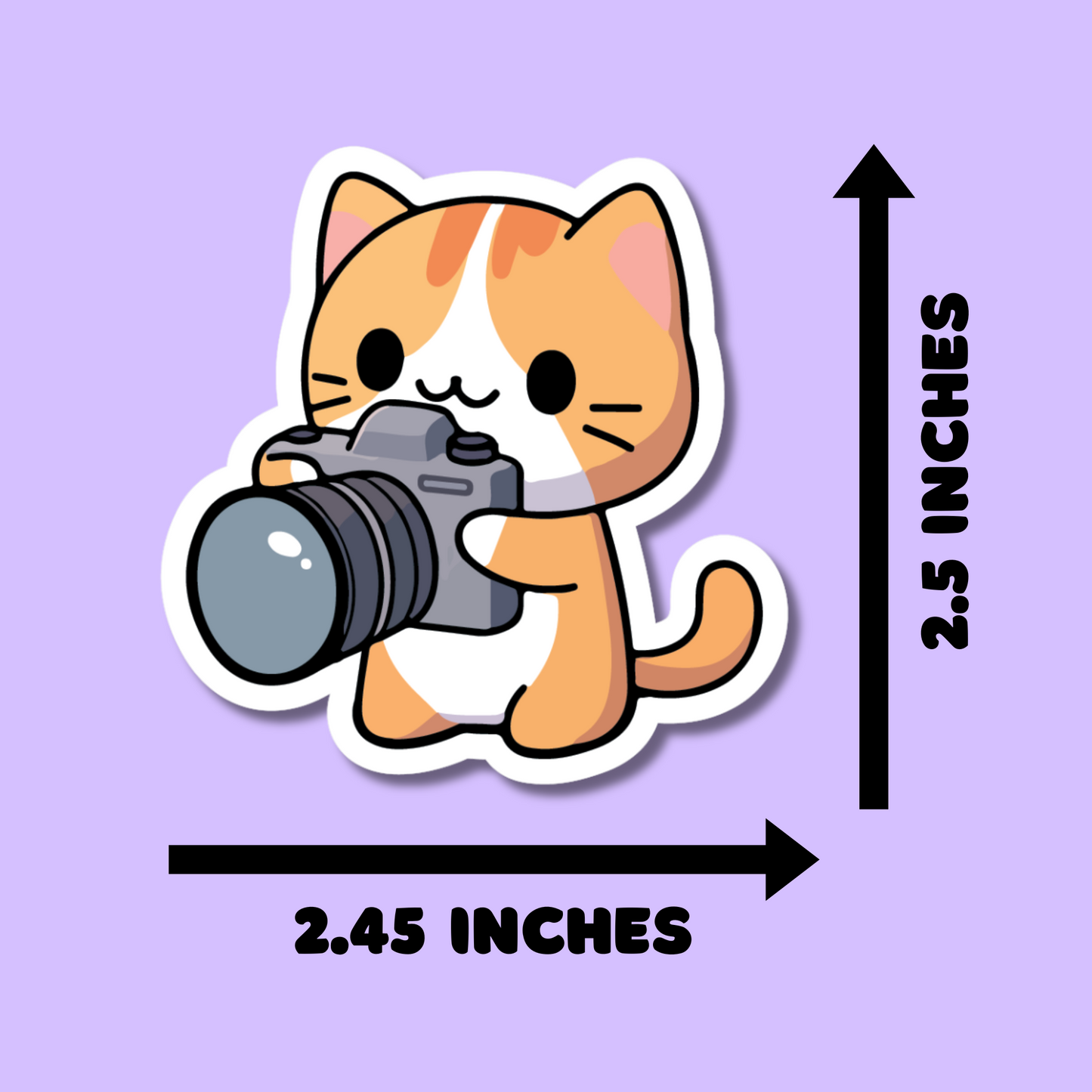 Cat with Camera Stickers for Planners, Water Bottles, Laptops, etc.