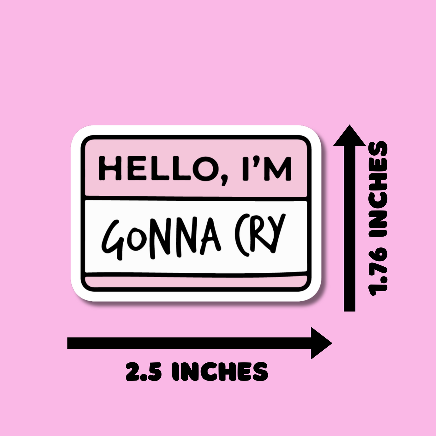 Hello I'm Gonna Cry Stickers, Funny Stickers for Planners, Water Bottles, Laptops, etc.