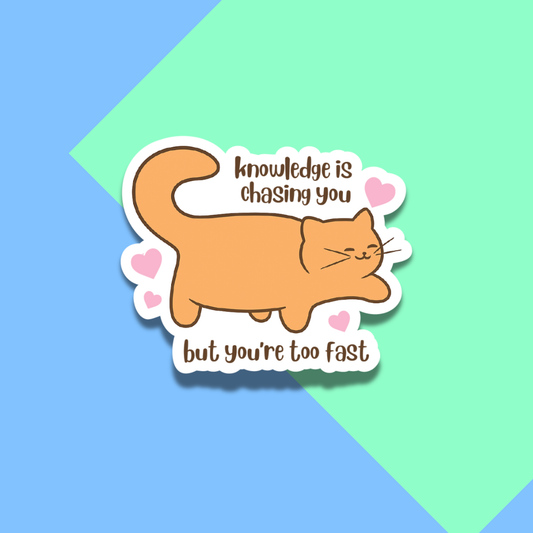 Knowledge Is Chasing You, But You're Too Fast Stickers for Planners, Water Bottles, Laptops, etc. (Copy)