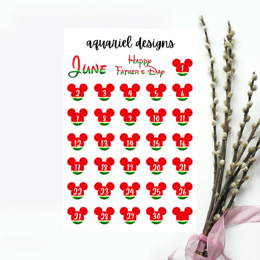 June Disney Dates | Set of 30+ Watermelon Themed Planner Stickers | Watermelon Date Cover Bullet Journal Stickers